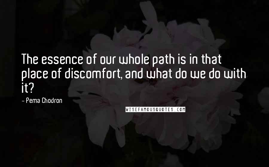 Pema Chodron quotes: The essence of our whole path is in that place of discomfort, and what do we do with it?