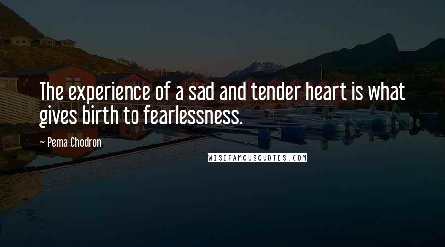 Pema Chodron quotes: The experience of a sad and tender heart is what gives birth to fearlessness.