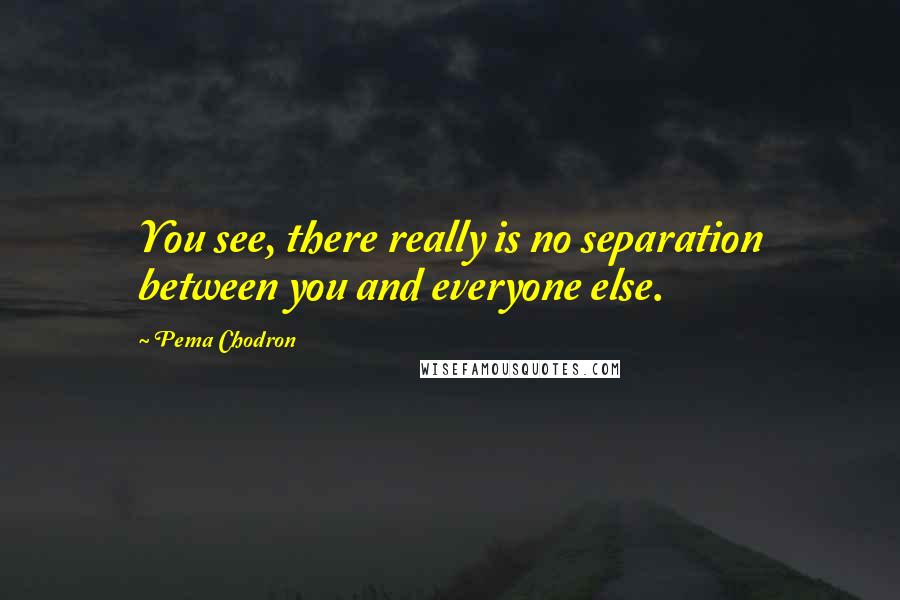 Pema Chodron quotes: You see, there really is no separation between you and everyone else.