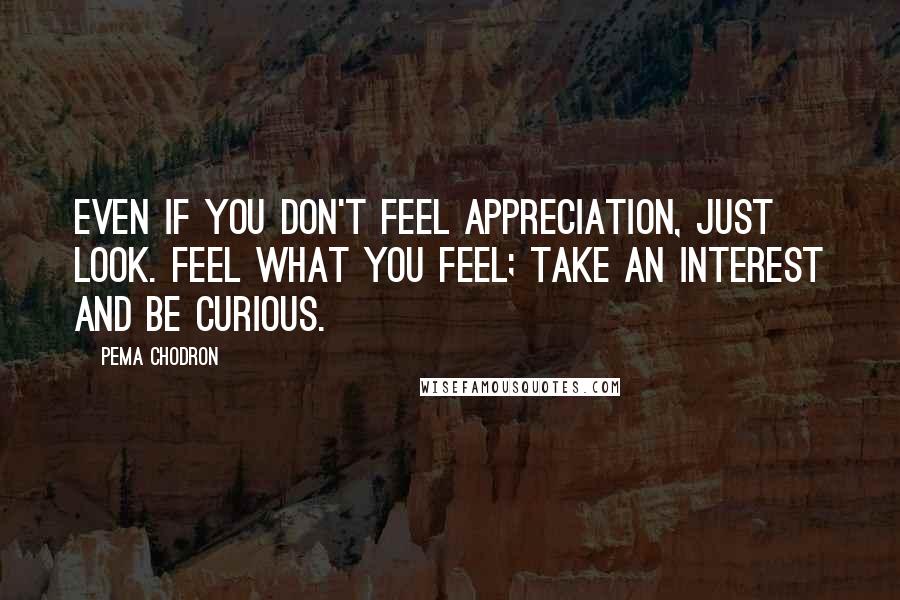 Pema Chodron quotes: Even if you don't feel appreciation, just look. Feel what you feel; take an interest and be curious.