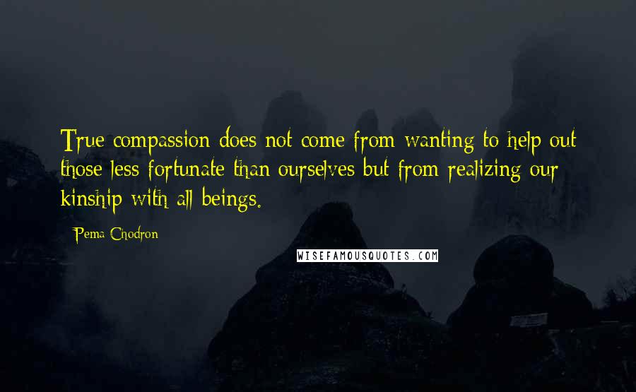 Pema Chodron quotes: True compassion does not come from wanting to help out those less fortunate than ourselves but from realizing our kinship with all beings.