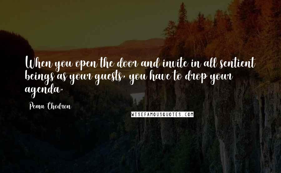 Pema Chodron quotes: When you open the door and invite in all sentient beings as your guests, you have to drop your agenda.