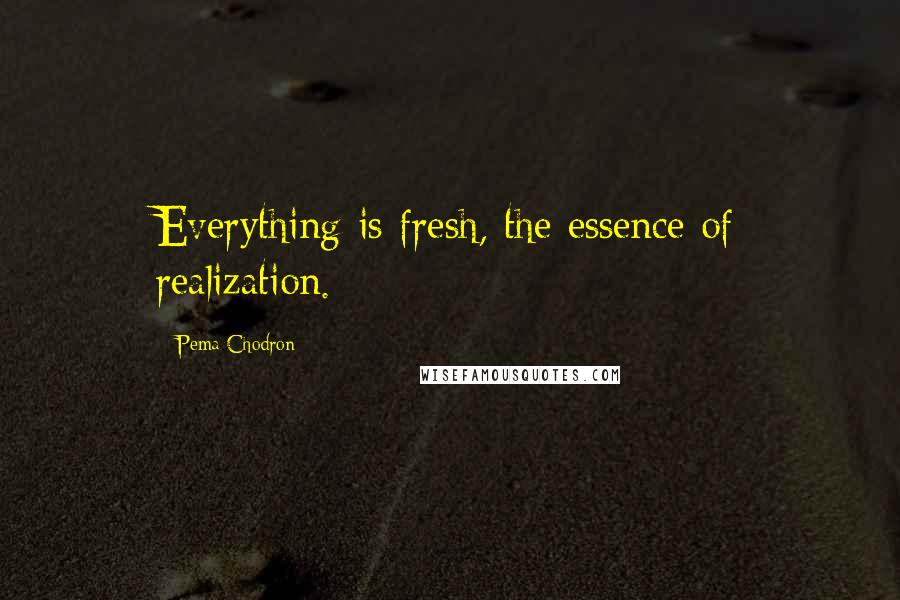 Pema Chodron quotes: Everything is fresh, the essence of realization.