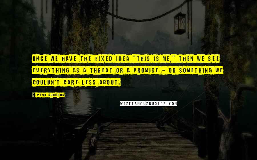 Pema Chodron quotes: Once we have the fixed idea "this is me," then we see everything as a threat or a promise - or something we couldn't care less about.