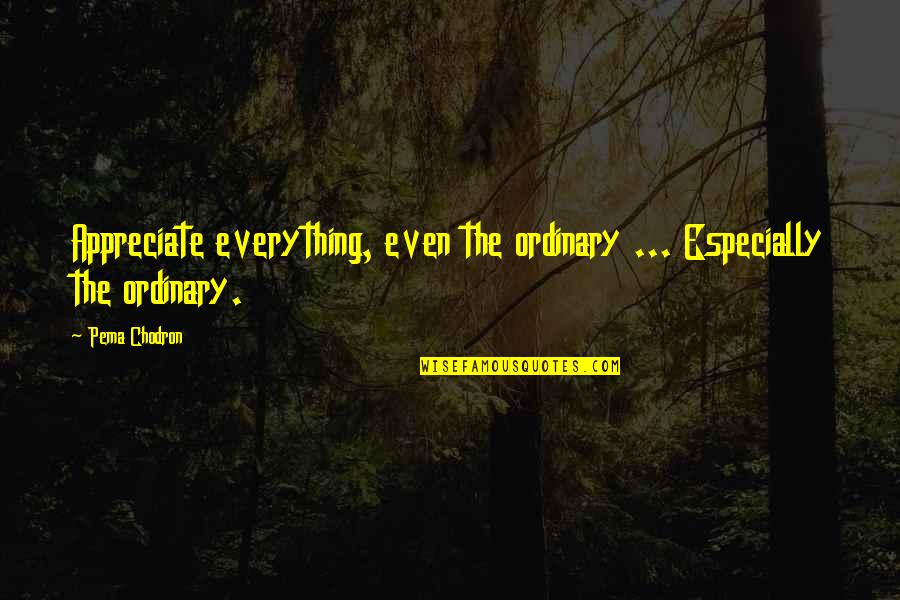 Pema Quotes By Pema Chodron: Appreciate everything, even the ordinary ... Especially the