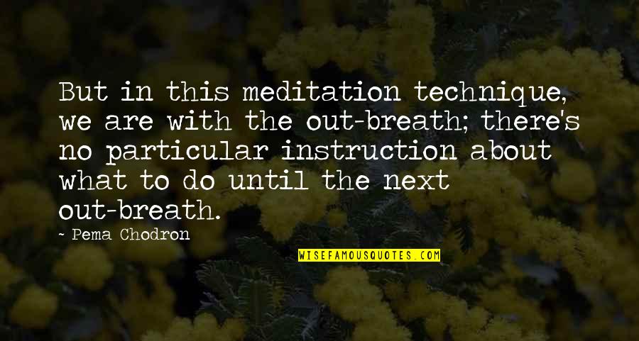 Pema's Quotes By Pema Chodron: But in this meditation technique, we are with