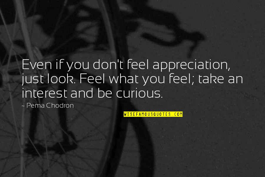 Pema's Quotes By Pema Chodron: Even if you don't feel appreciation, just look.
