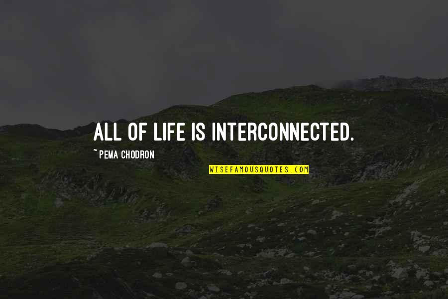 Pema's Quotes By Pema Chodron: All of life is interconnected.