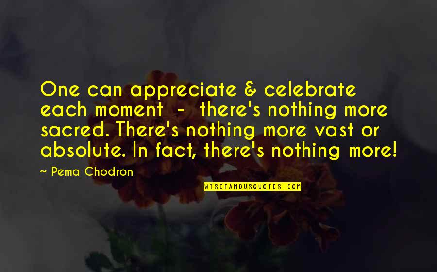 Pema's Quotes By Pema Chodron: One can appreciate & celebrate each moment -