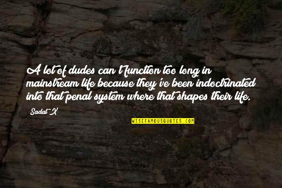 Penal Quotes By Sadat X: A lot of dudes can't function too long