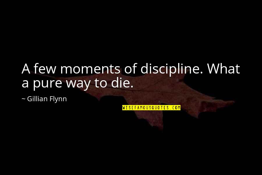 Penchecks Quotes By Gillian Flynn: A few moments of discipline. What a pure