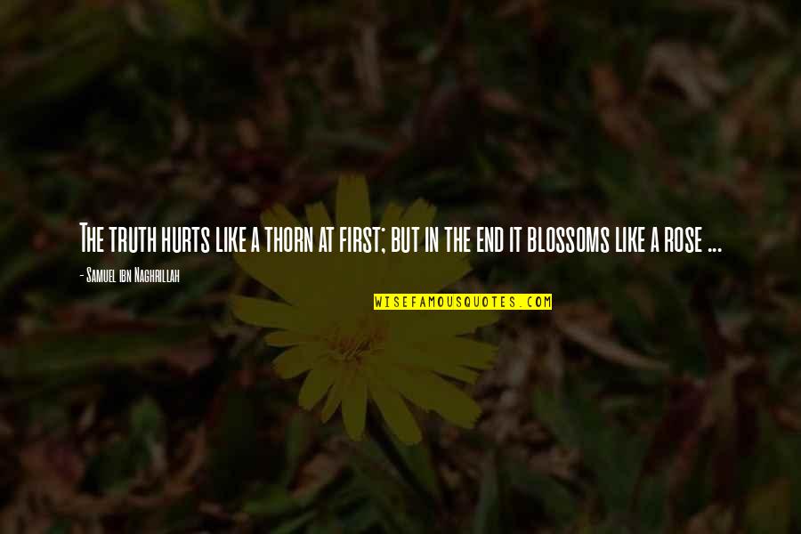 Pencil And Life Quotes By Samuel Ibn Naghrillah: The truth hurts like a thorn at first; Pencil And Life Quotes By Samuel Ibn Naghrillah: The truth hurts like a thorn at first;