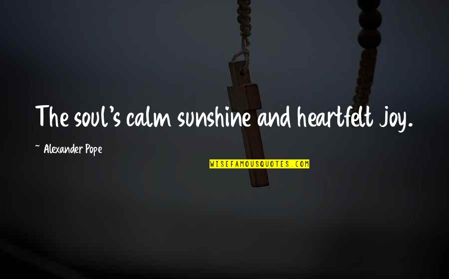 Pencroft Insulation Quotes By Alexander Pope: The soul's calm sunshine and heartfelt joy.