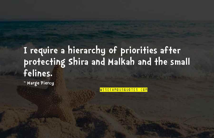 Pendaki Quotes By Marge Piercy: I require a hierarchy of priorities after protecting