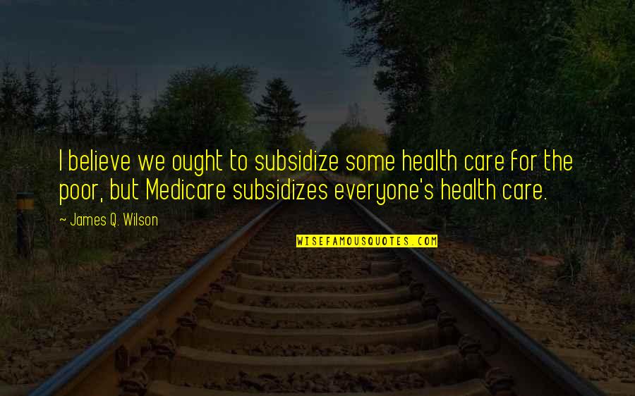 Pendulum Inspirational Quotes By James Q. Wilson: I believe we ought to subsidize some health Pendulum Inspirational Quotes By James Q. Wilson: I believe we ought to subsidize some health