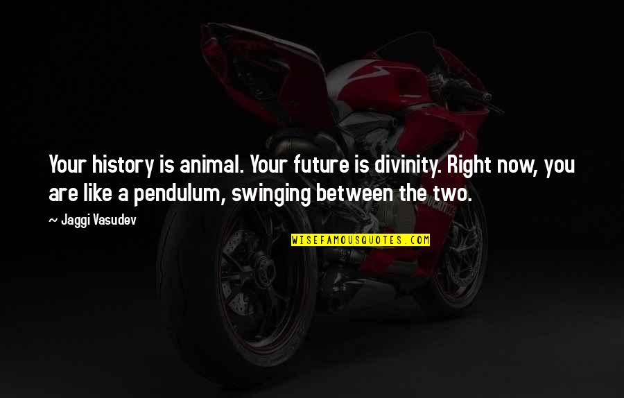 Pendulum Quotes By Jaggi Vasudev: Your history is animal. Your future is divinity.