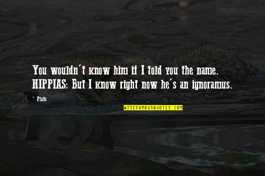 Penedesenca Quotes By Plato: You wouldn't know him if I told you
