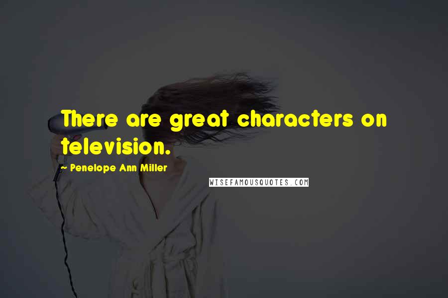Penelope Ann Miller quotes: There are great characters on television.