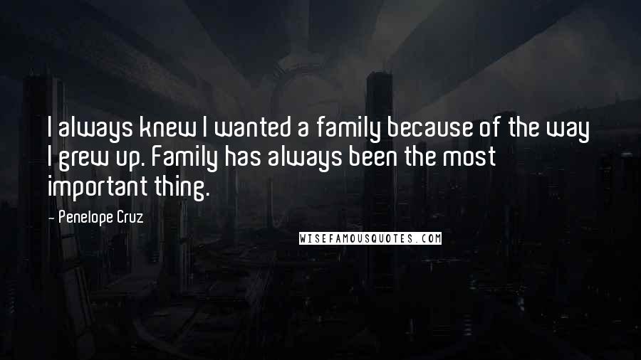 Penelope Cruz quotes: I always knew I wanted a family because of the way I grew up. Family has always been the most important thing.