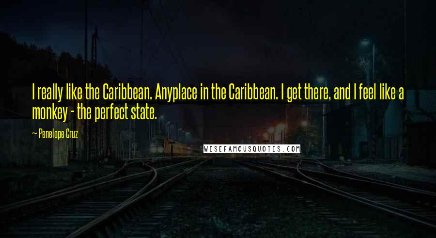 Penelope Cruz quotes: I really like the Caribbean. Anyplace in the Caribbean. I get there, and I feel like a monkey - the perfect state.