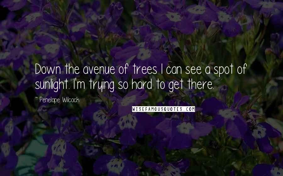 Penelope Wilcock quotes: Down the avenue of trees I can see a spot of sunlight. I'm trying so hard to get there. Penelope Wilcock quotes: Down the avenue of trees I can see a spot of sunlight. I'm trying so hard to get there.