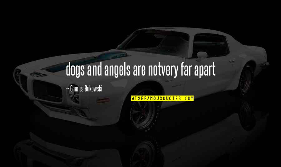 Penerbit Erlangga Quotes By Charles Bukowski: dogs and angels are notvery far apart Penerbit Erlangga Quotes By Charles Bukowski: dogs and angels are notvery far apart
