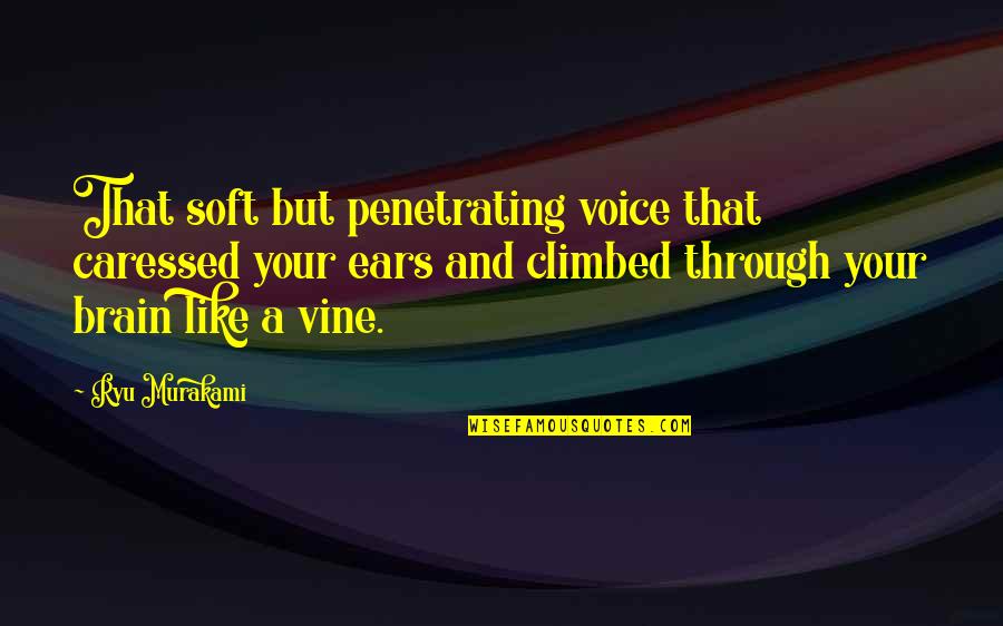 Penetrating Quotes By Ryu Murakami: That soft but penetrating voice that caressed your