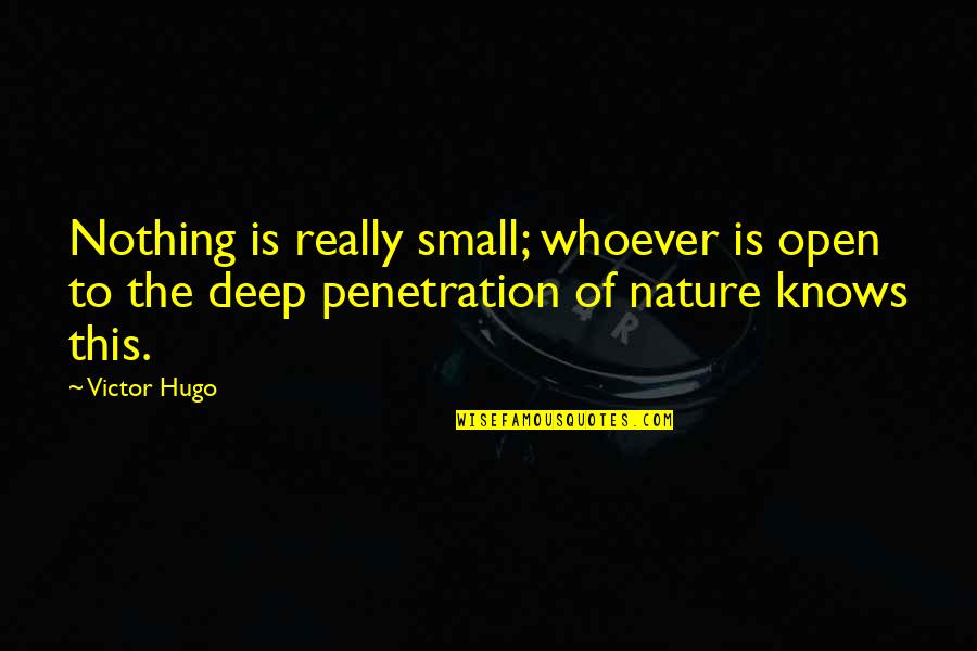 Penetration Quotes By Victor Hugo: Nothing is really small; whoever is open to