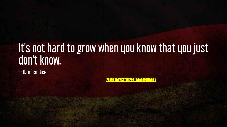 Pengertian Kewirausahaan Quotes By Damien Rice: It's not hard to grow when you know