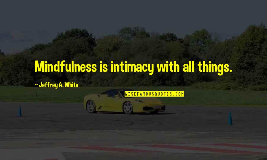 Penggerak Kaca Quotes By Jeffrey A. White: Mindfulness is intimacy with all things.