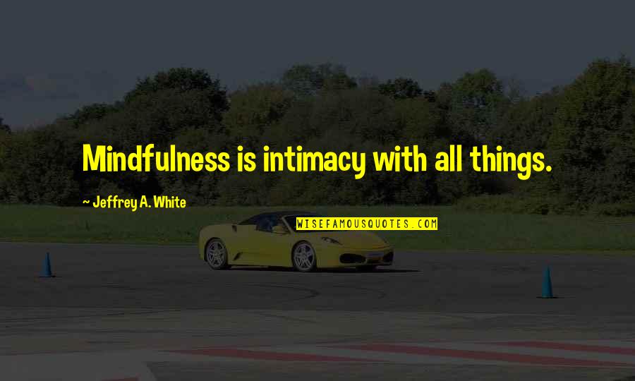 Penggerak Kaca Quotes By Jeffrey A. White: Mindfulness is intimacy with all things. Penggerak Kaca Quotes By Jeffrey A. White: Mindfulness is intimacy with all things.