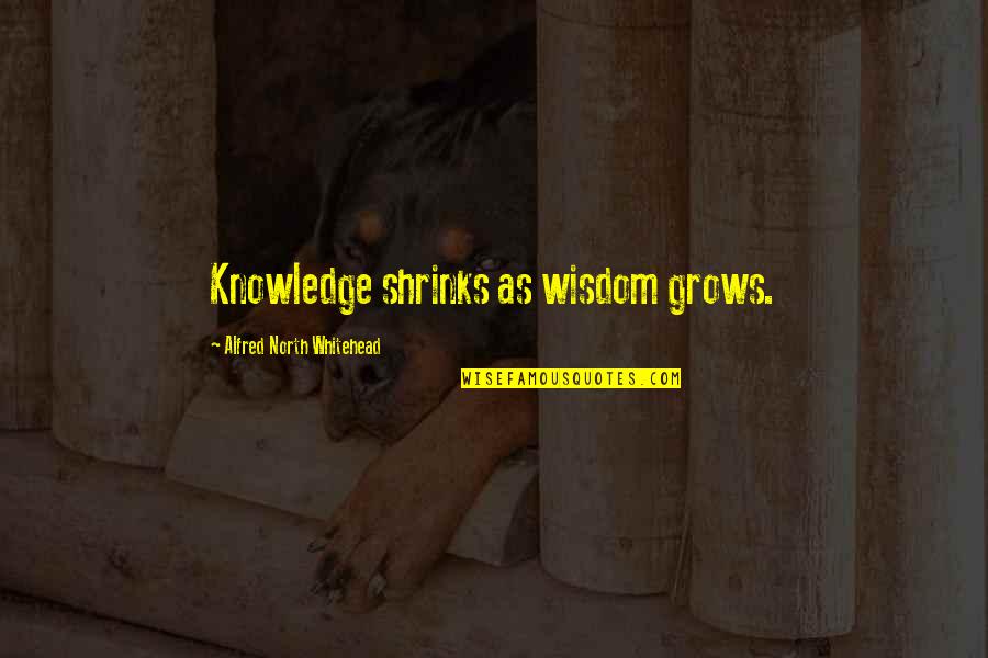 Pengukuran Quotes By Alfred North Whitehead: Knowledge shrinks as wisdom grows.