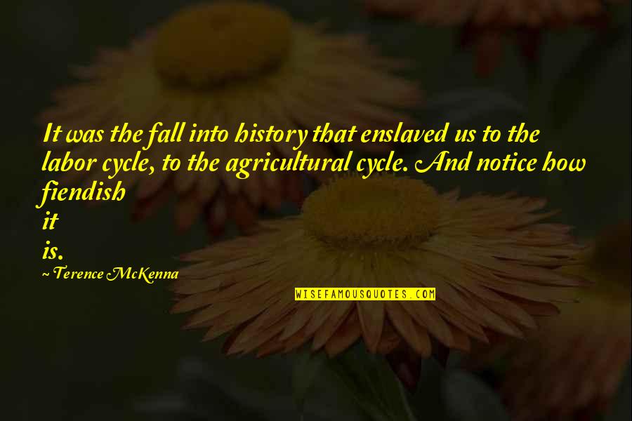 Penhallow Hotel Quotes By Terence McKenna: It was the fall into history that enslaved
