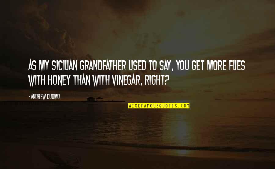 Peningers Quotes By Andrew Cuomo: As my Sicilian grandfather used to say, you