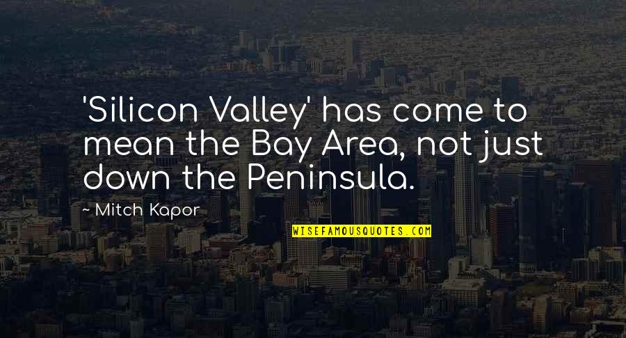 Peninsula Quotes By Mitch Kapor: 'Silicon Valley' has come to mean the Bay