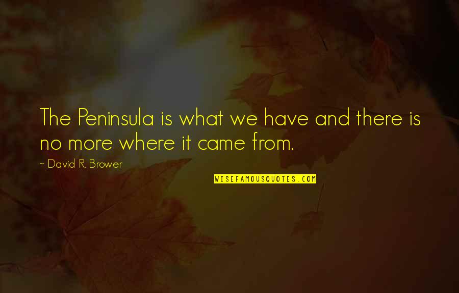 Peninsulas Quotes By David R. Brower: The Peninsula is what we have and there