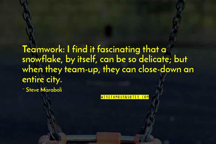 Penitente Canyon Quotes By Steve Maraboli: Teamwork: I find it fascinating that a snowflake, Penitente Canyon Quotes By Steve Maraboli: Teamwork: I find it fascinating that a snowflake,