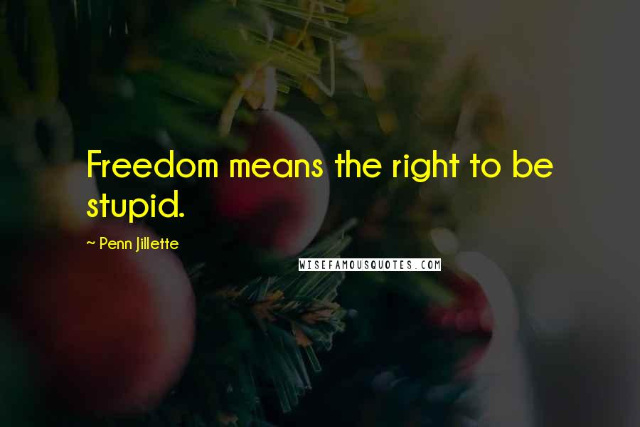 Penn Jillette quotes: Freedom means the right to be stupid.