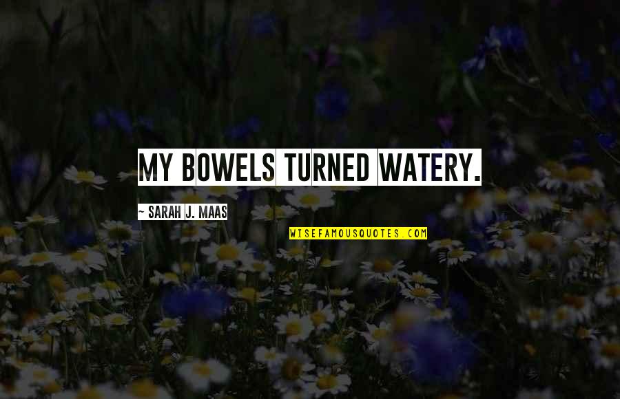 Pennies To Quarters Quotes By Sarah J. Maas: My bowels turned watery. Pennies To Quarters Quotes By Sarah J. Maas: My bowels turned watery.