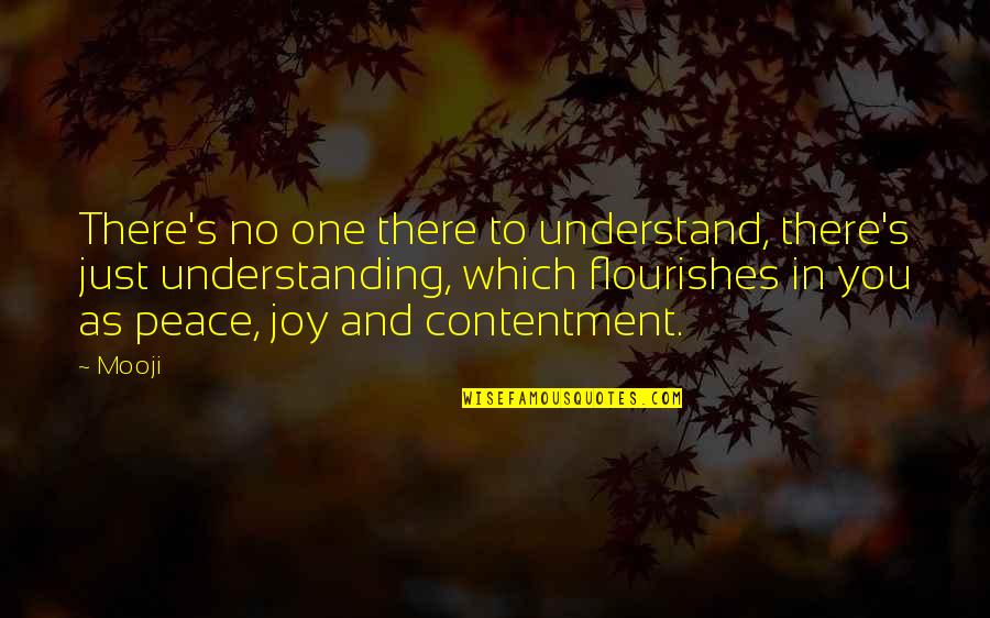 Penny Chenery Quotes By Mooji: There's no one there to understand, there's just