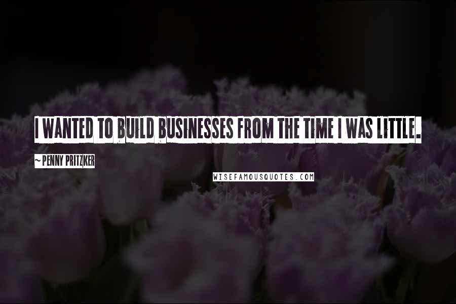 Penny Pritzker quotes: I wanted to build businesses from the time I was little.