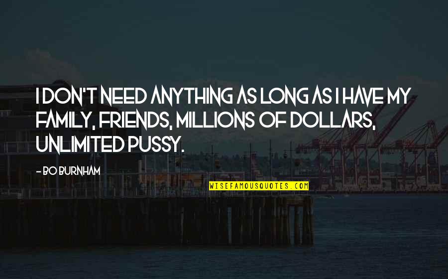 Pensent Inc Quotes By Bo Burnham: I don't need anything as long as I