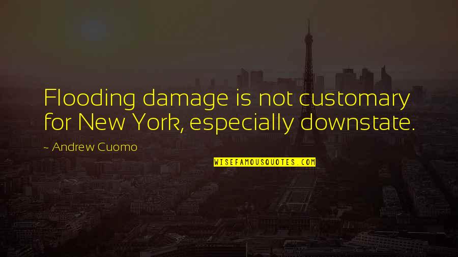 Pensive Quotes And Quotes By Andrew Cuomo: Flooding damage is not customary for New York,