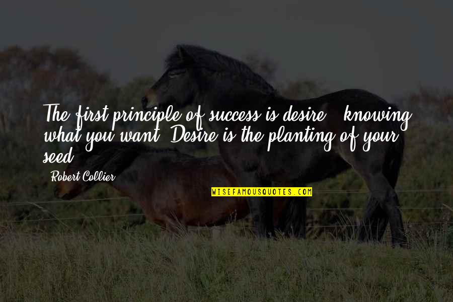 Pensiveness Def Quotes By Robert Collier: The first principle of success is desire -