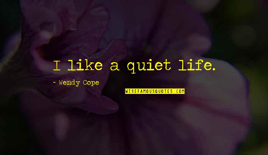 Pentateuchal Quotes By Wendy Cope: I like a quiet life.