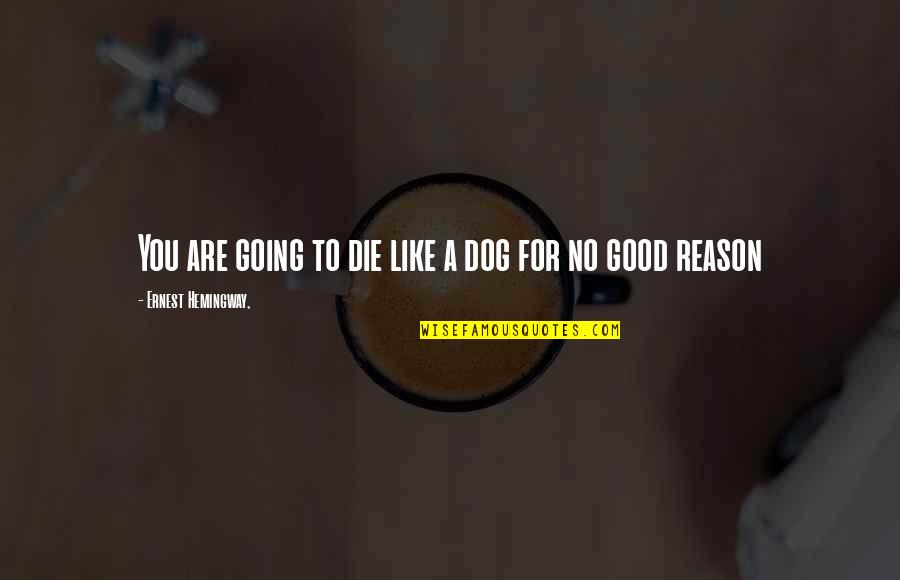 Pentexore Quotes By Ernest Hemingway,: You are going to die like a dog Pentexore Quotes By Ernest Hemingway,: You are going to die like a dog
