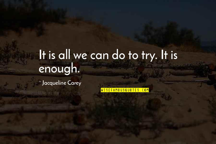Pentothal Anesthesia Quotes By Jacqueline Carey: It is all we can do to try. Pentothal Anesthesia Quotes By Jacqueline Carey: It is all we can do to try.