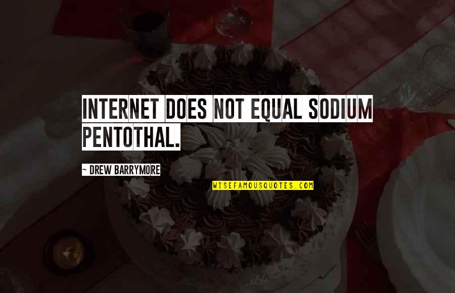 Pentothal Sodium Quotes By Drew Barrymore: Internet does not equal sodium pentothal.