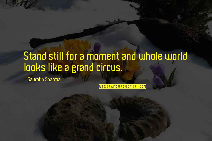 Penury In A Sentence Quotes By Saurabh Sharma: Stand still for a moment and whole world