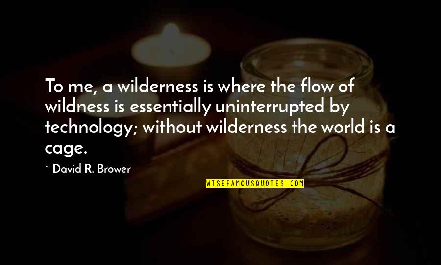 Penyumbang In English Quotes By David R. Brower: To me, a wilderness is where the flow